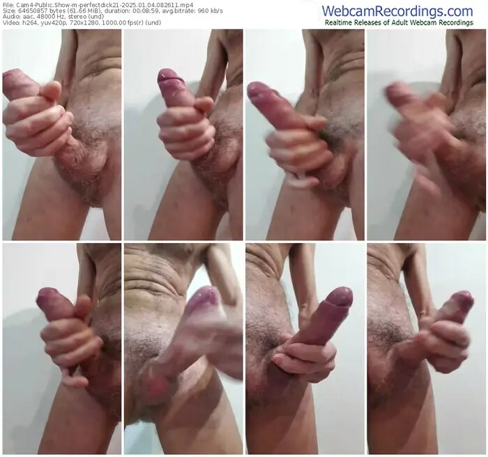 2025/01/04/cam4-perfectdick21-08-26-11
