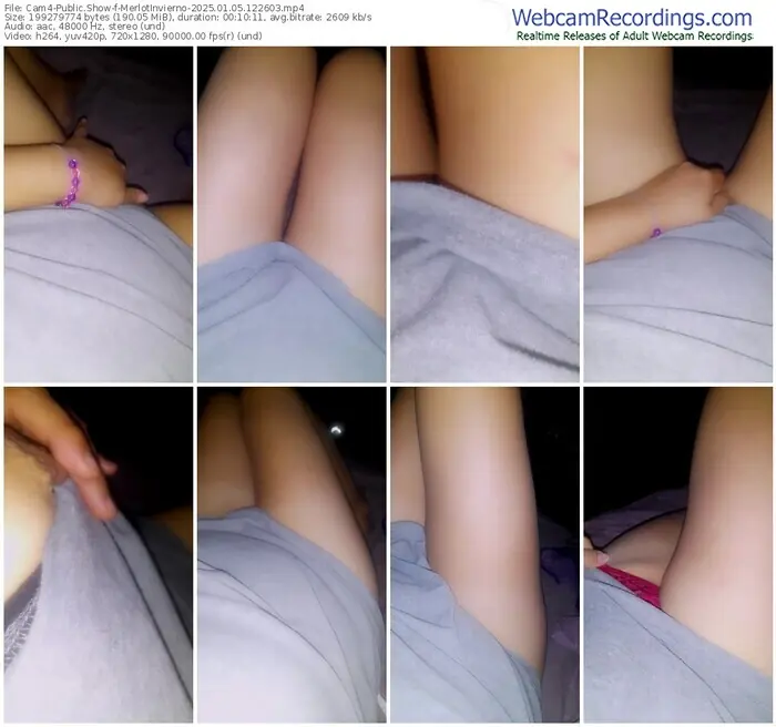 2025/01/05/cam4-merlotinvierno-12-26-03