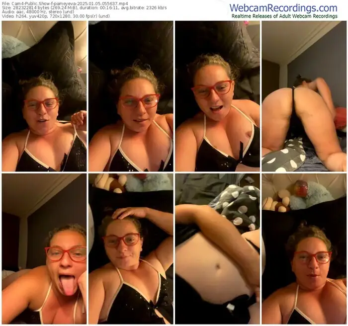 2025/01/05/cam4-pameyeva-05-56-37