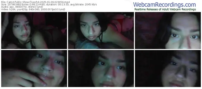 2025/01/06/cam4-lusch4-02-30-56