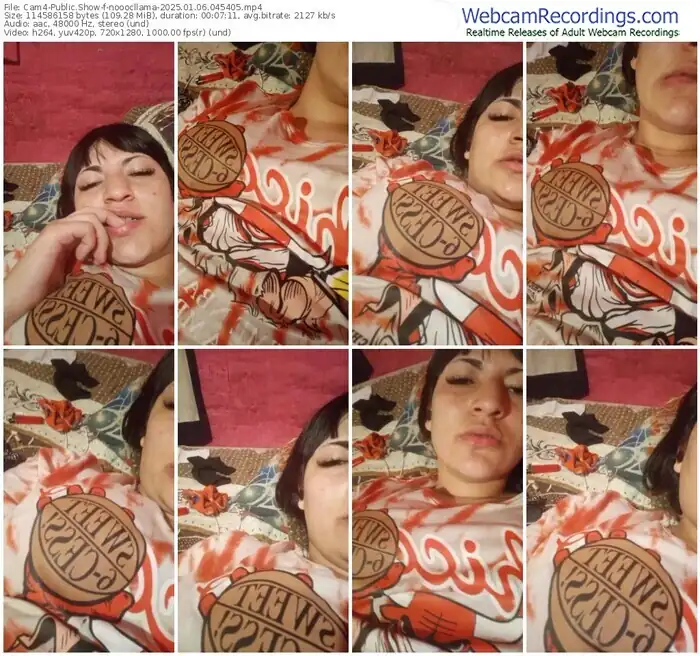 2025/01/06/cam4-nooocllama-04-54-05