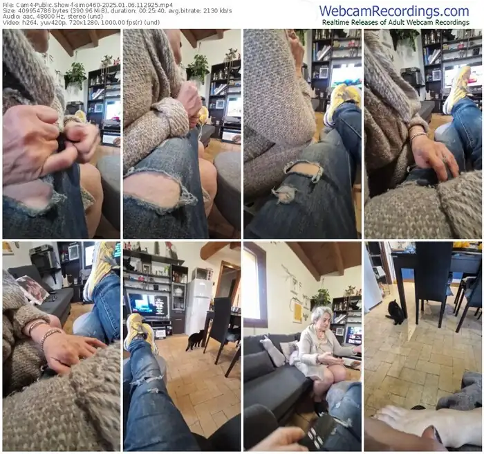 2025/01/06/cam4-simo460-11-29-25