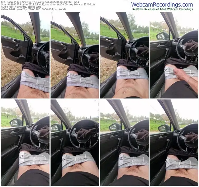 2025/01/06/cam4-thelastbebos-13-50-21