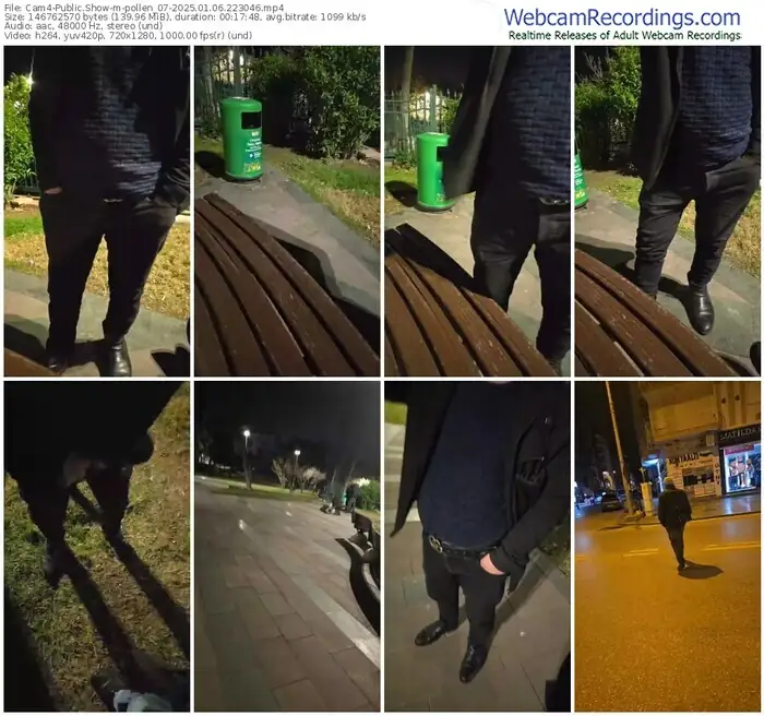 2025/01/06/cam4-pollen_07-22-30-46