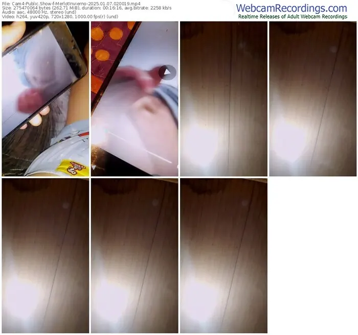 2025/01/07/cam4-merlotinvierno-02-00-19