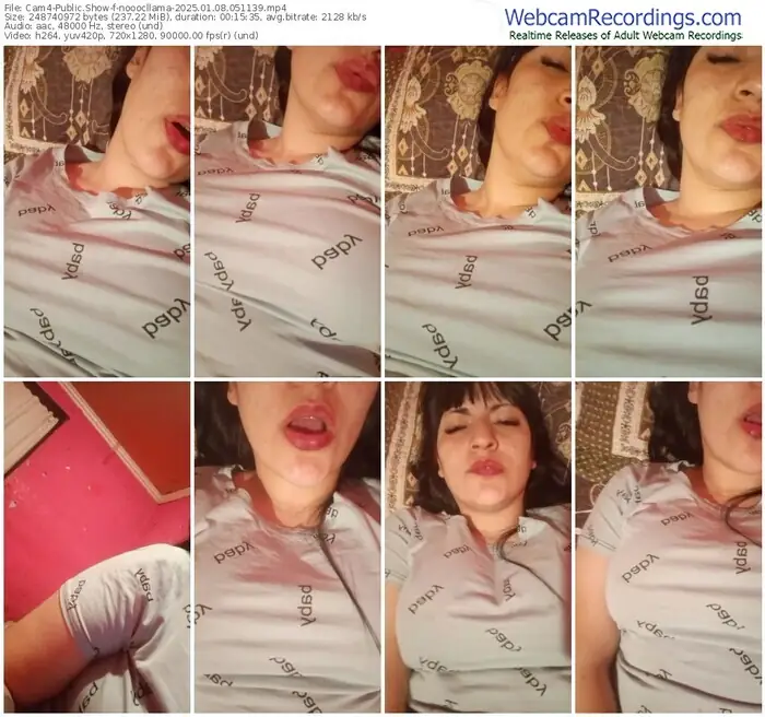 2025/01/08/cam4-nooocllama-05-11-39