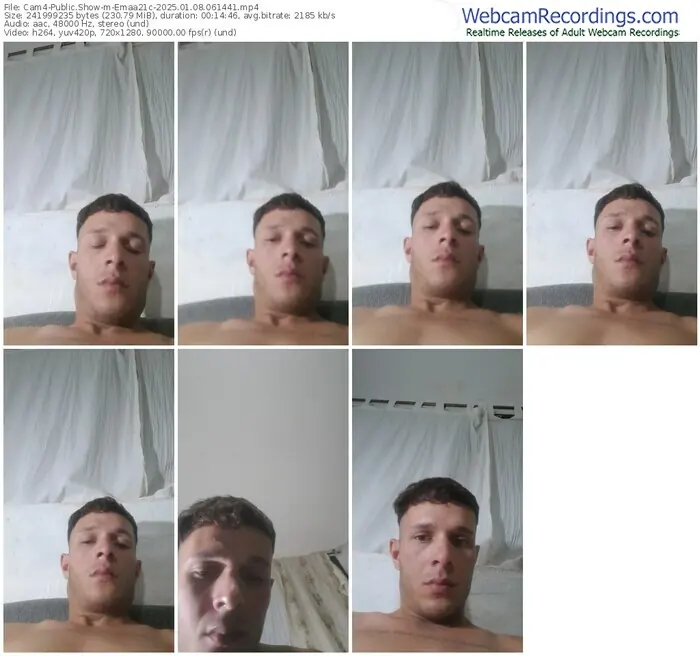 2025/01/08/cam4-emaa21c-06-14-41