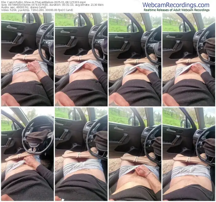 2025/01/08/cam4-thelastbebos-12-53-33