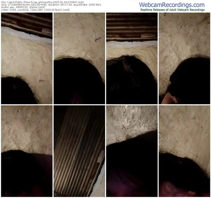 2025/01/09/cam4-laa_princesitta-07-08-47