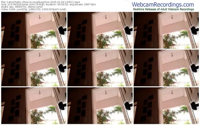 2025/01/09/cam4-recoblue22cm-13-30-11