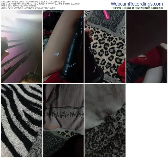 2025/01/10/cam4-reynitababe-10-56-42