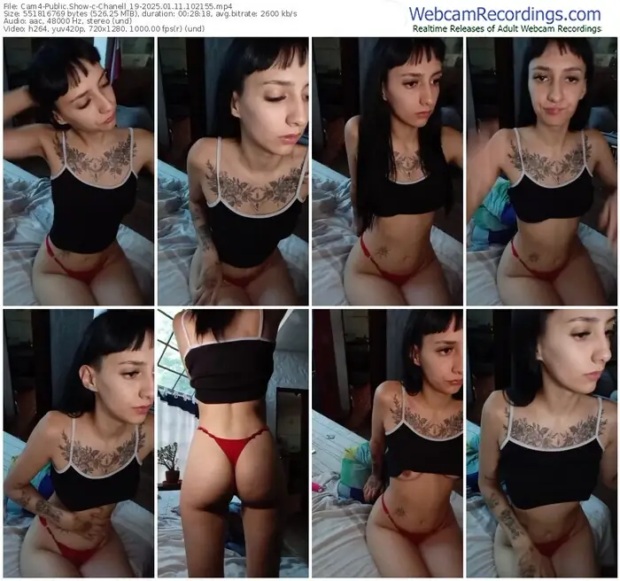2025/01/11/cam4-chanell_19-10-21-55