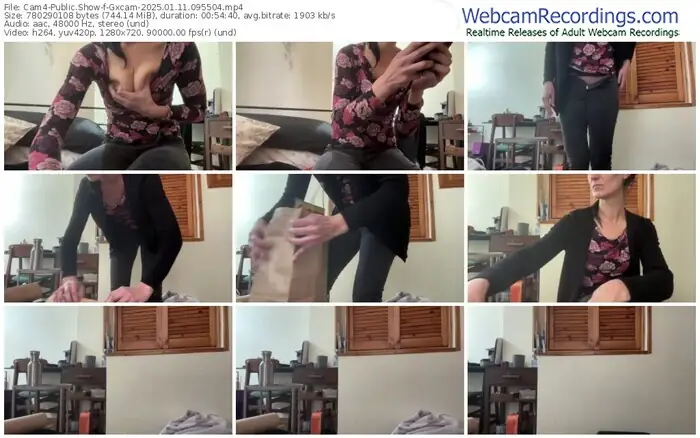 2025/01/11/cam4-gxcam-09-55-04