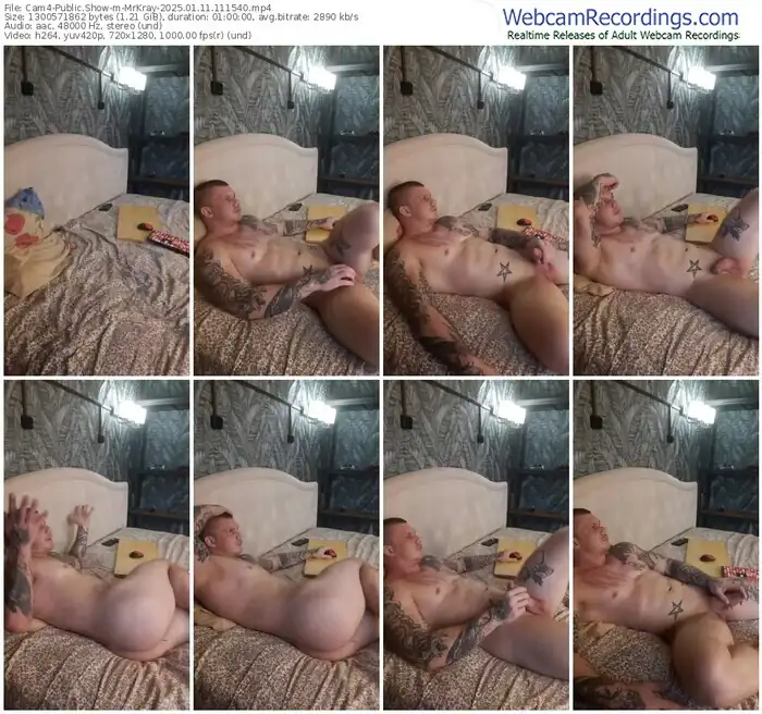 2025/01/11/cam4-mrkray-11-15-40