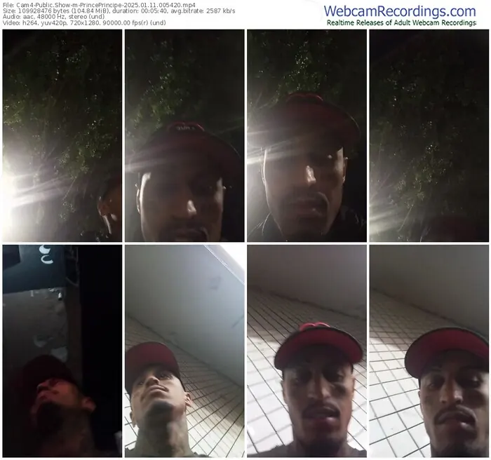2025/01/11/cam4-princeprincipe-00-54-20