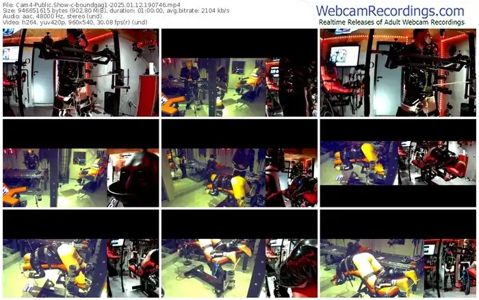 2025/01/12/cam4-boundgag1-19-07-46