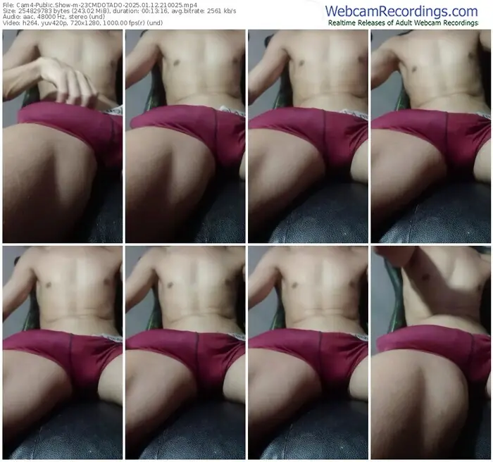 2025/01/12/cam4-23cmdotado-21-00-25