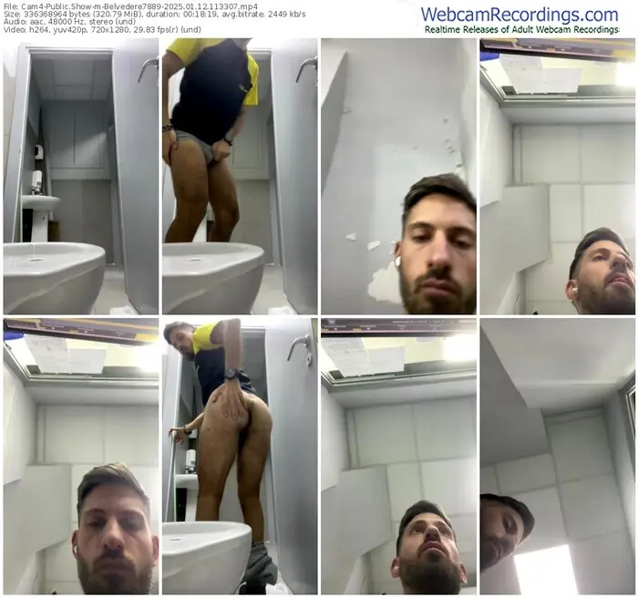 2025/01/12/cam4-belvedere7889-11-33-07