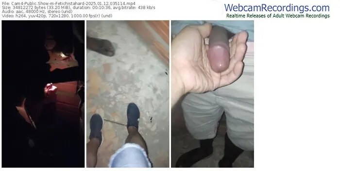 2025/01/12/cam4-fetichistahard-03-51-14