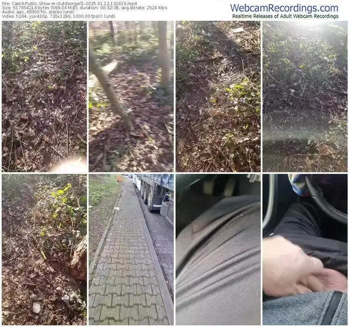 2025/01/12/cam4-outdoorgeil1-13-16-16