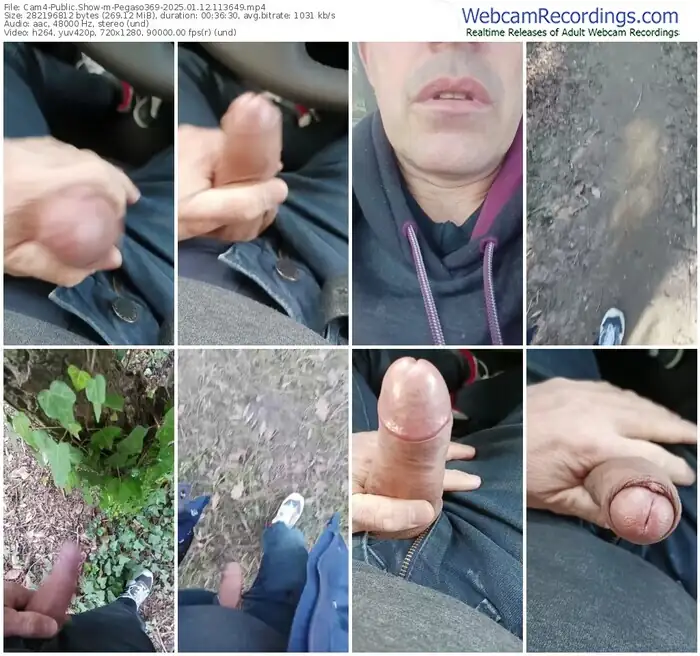 2025/01/12/cam4-pegaso369-11-36-49