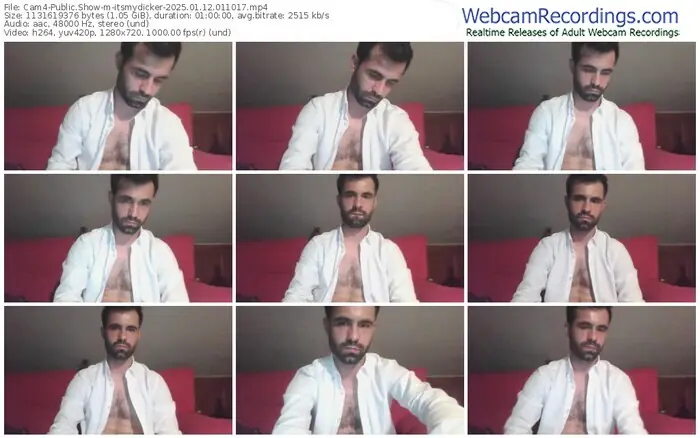 2025/01/12/cam4-itsmydicker-01-10-17