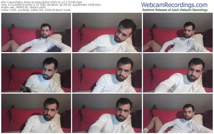 2025/01/12/cam4-itsmydicker-17-13-36