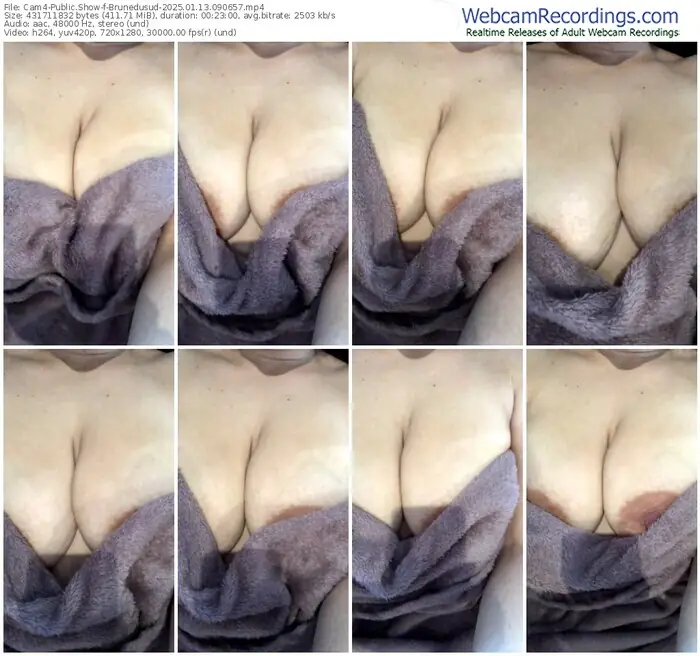 2025/01/13/cam4-brunedusud-09-06-57