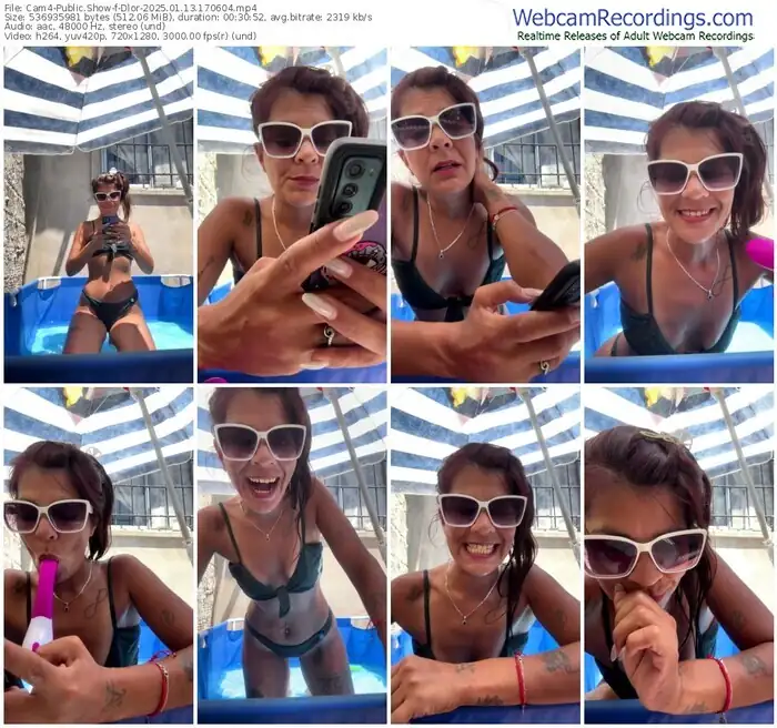 2025/01/13/cam4-dlor-17-06-04