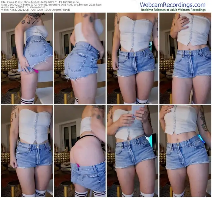2025/01/13/cam4-libellule29-16-35-09