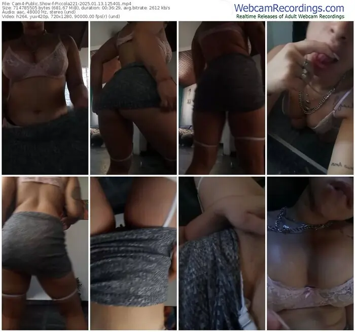 2025/01/13/cam4-piccola221-12-54-01