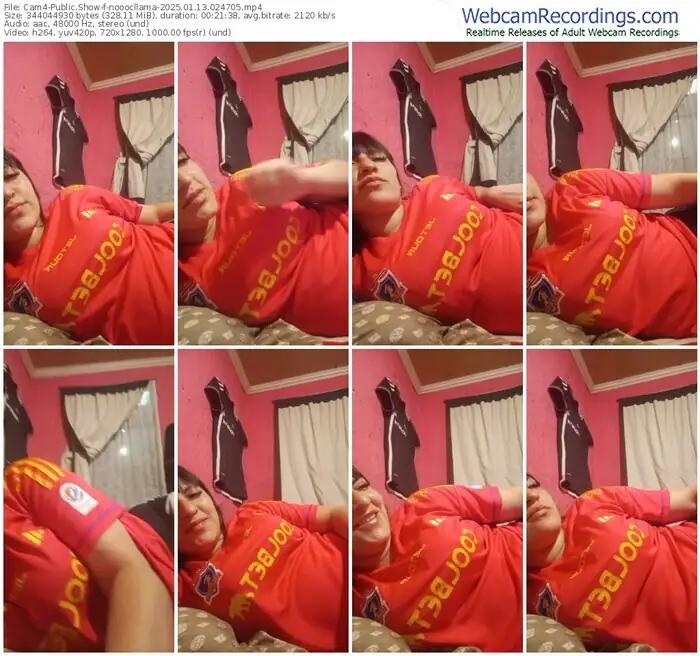 2025/01/13/cam4-nooocllama-02-47-05