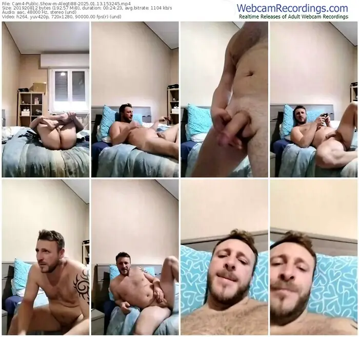 2025/01/13/cam4-alegti88-15-32-45