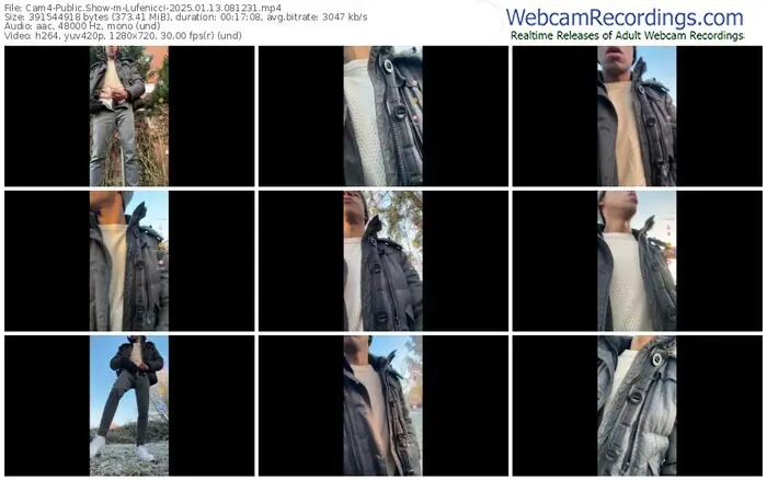 2025/01/13/cam4-lufenicci-08-12-31