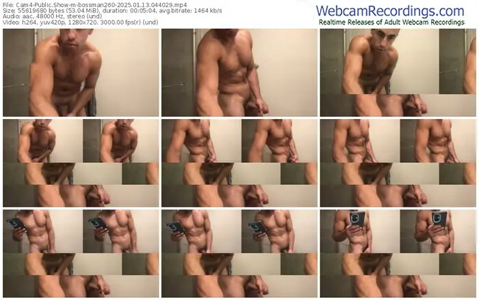 2025/01/13/cam4-bossman260-04-40-29