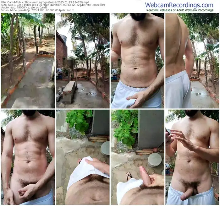 2025/01/13/cam4-magrogostoso1-18-43-56