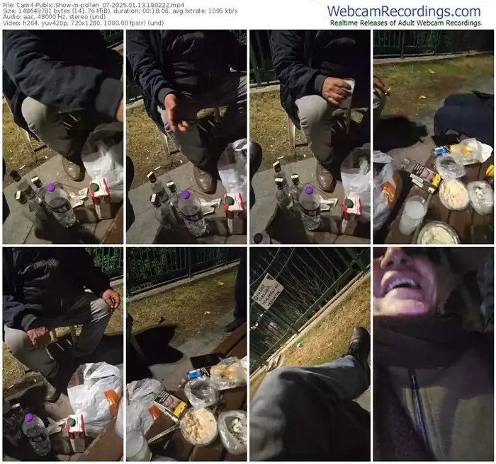 2025/01/13/cam4-pollen_07-18-02-22