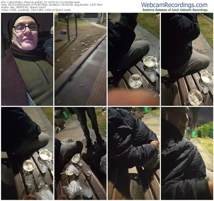 2025/01/13/cam4-pollen_07-19-23-46