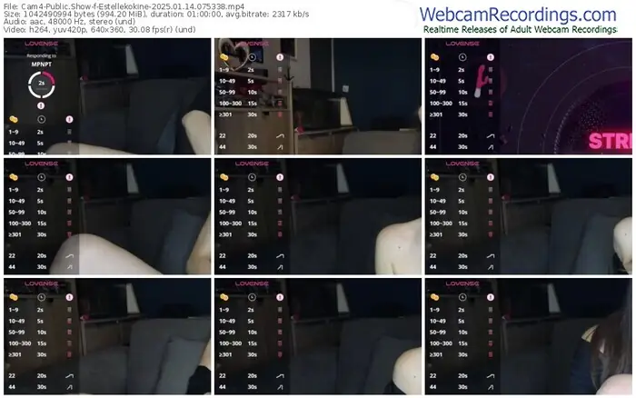 2025/01/14/cam4-estellekokine-07-53-38