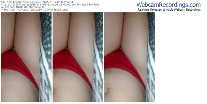 2025/01/14/cam4-jolixieic-05-40-07