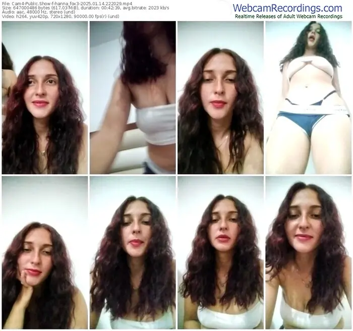 2025/01/14/cam4-hanna_fox3-22-20-29