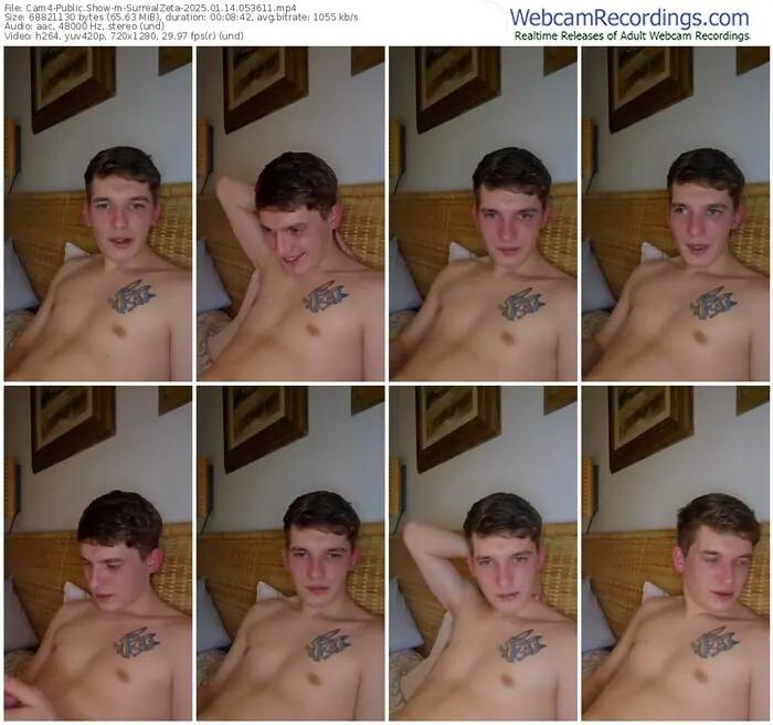 2025/01/14/cam4-surrealzeta-05-36-11