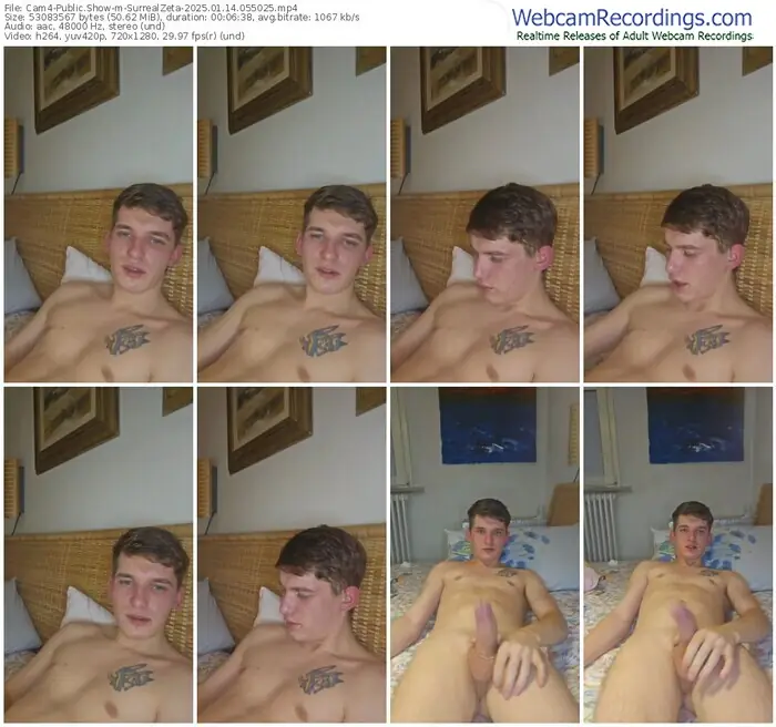 2025/01/14/cam4-surrealzeta-05-50-25