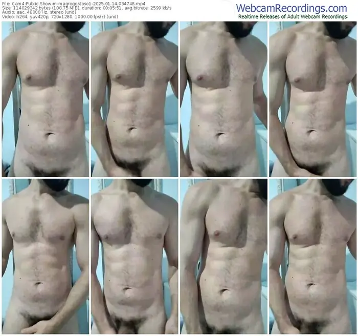 2025/01/14/cam4-magrogostoso1-03-47-48