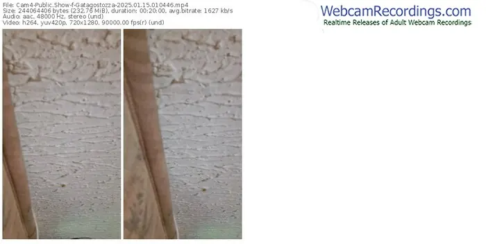 2025/01/15/cam4-gatagostozza-01-04-46