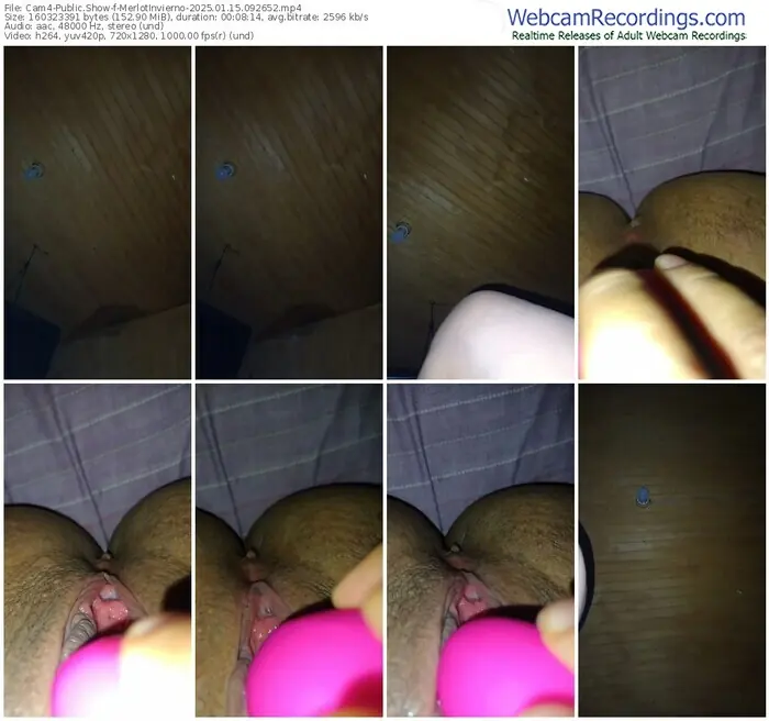 2025/01/15/cam4-merlotinvierno-09-26-52