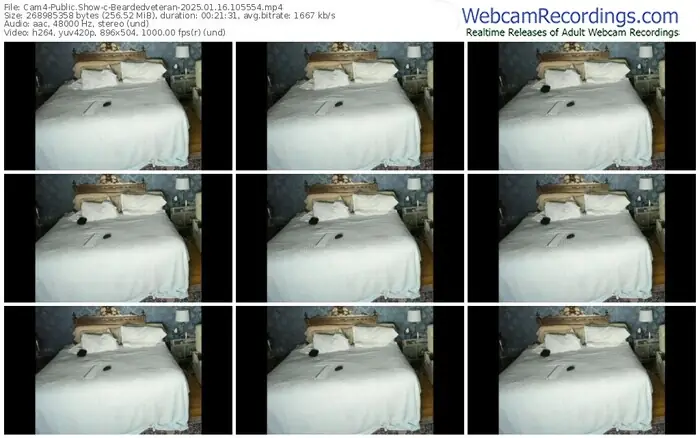 2025/01/16/cam4-beardedveteran-10-55-54