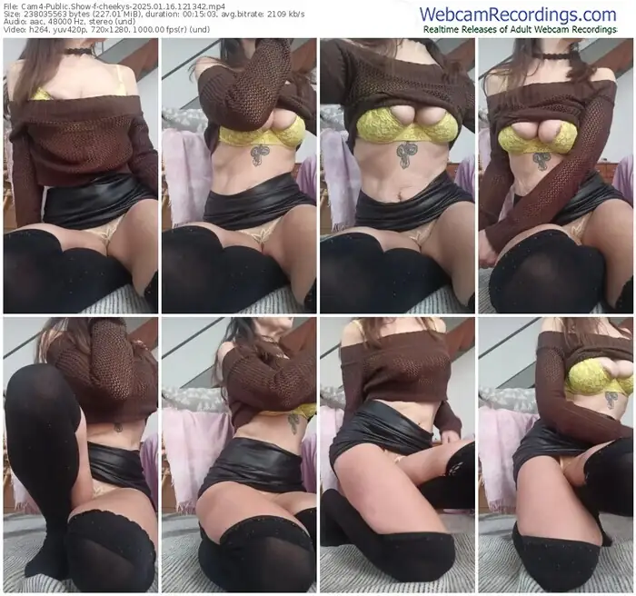 2025/01/16/cam4-cheekys-12-13-42