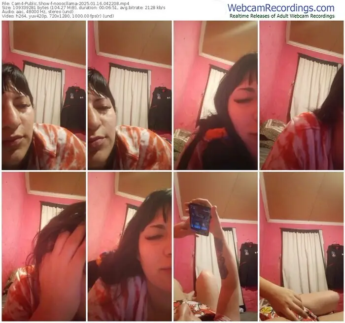 2025/01/16/cam4-nooocllama-04-22-08