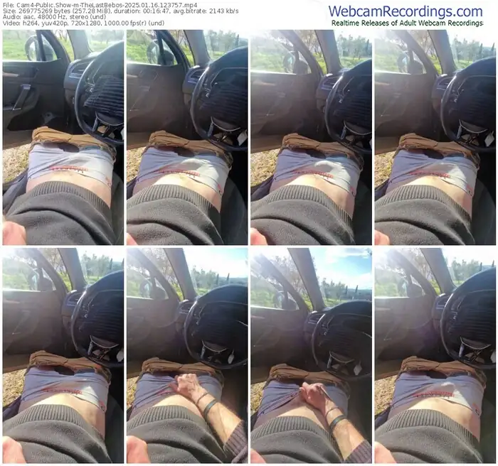 2025/01/16/cam4-thelastbebos-12-37-57